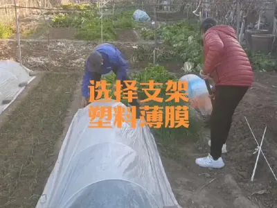 ����ѡ��С�����õ�֧�ܺ����ϱ�Ĥ