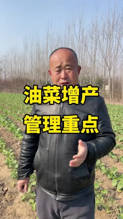 �Ͳ����������ص�#�Ͳ�ݪֲ #�Ͳ�ݪֲ���� #�Ͳ˸߲� #�Ͳ�����