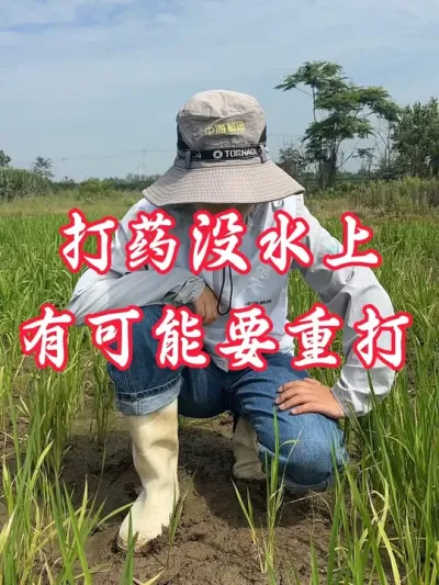 ������ݼ����ܱ�ˮ��һ��Ҫ��ˮ#�����������Ļ��� #����ũҵ֪ʶ��ũ����������