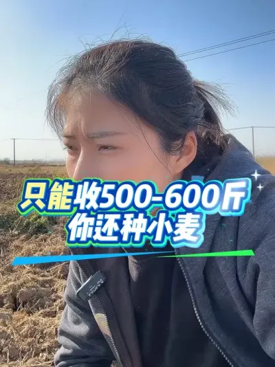 ����С�����ռ���#����ũҵ֪ʶ��ũ���������� #�����������Ļ��� #С��ݪֲ