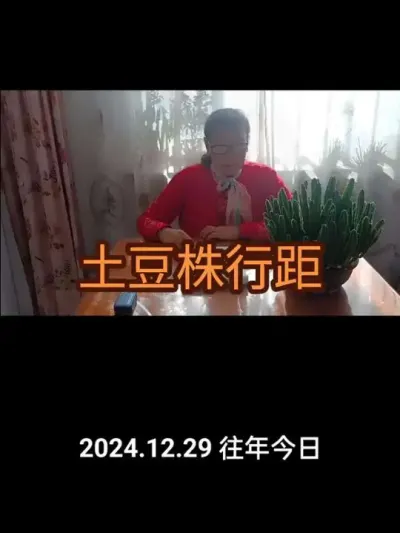 ݪֲ�������о��Ǽ��ࣨ2024�꣩#����