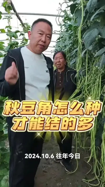 #���� #�߲�ݪֲ #���� #ũҵݪֲ #÷�꼾��