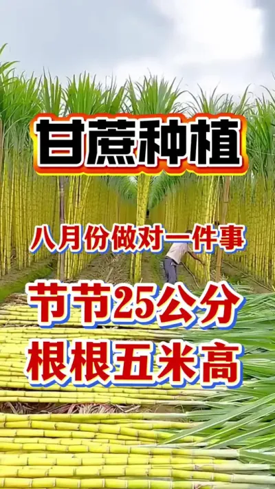 ������²�׷�ʲ��������������·ݸ���νڳ�̵�Ҫ��ʱ��������������������������뷭һ��#����ݪֲ#����ʩ��#����