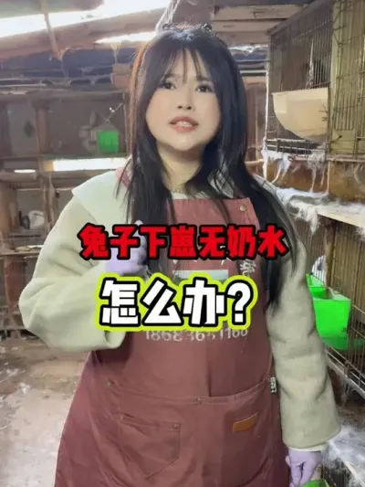 #������ #�������� #���������������� #��ũ��ֳ