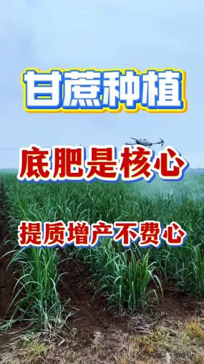 ����׷��ǽ�������������������#����ݪֲ#����ʩ��#����