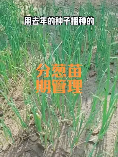 �ִУ���У����ڹ���#���