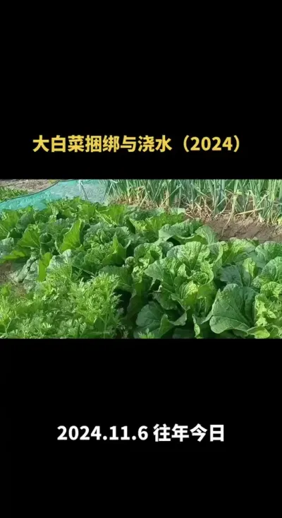 ��ȷ����������������ˮ