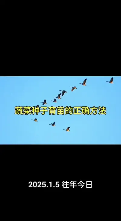 �������߲����������Ҫ�죨2025�꣩