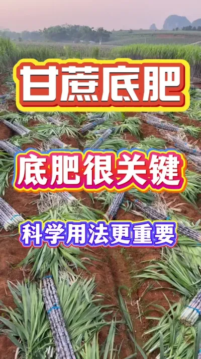 �ָ���ͬ���ĵ׷�Ϊʲô�������������յ��㸲������֪��#����ݪֲ#����׷�#����ʩ��