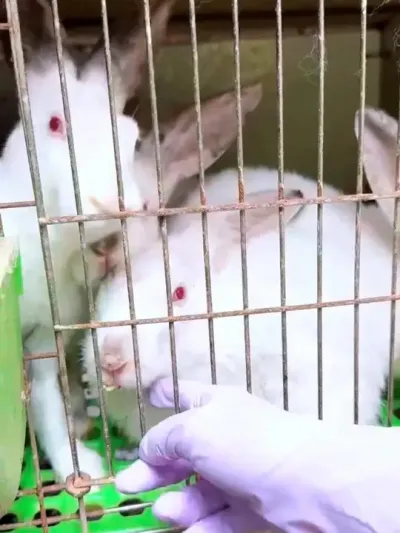 #���� #���� #��ũ