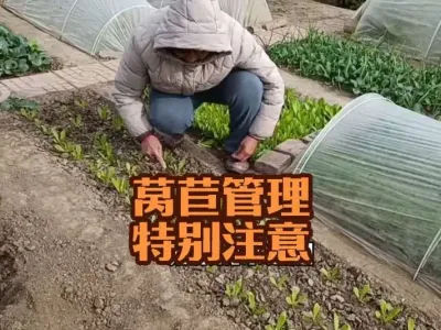 ݫ����ǰ��������ע������