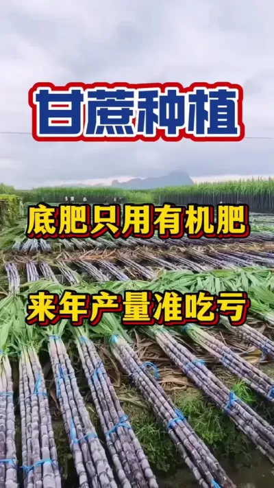 ��������������ǵ׷���Ȼ�����л��ʡ����Ϸ����������һ�������#���� #����ʩ��#�������