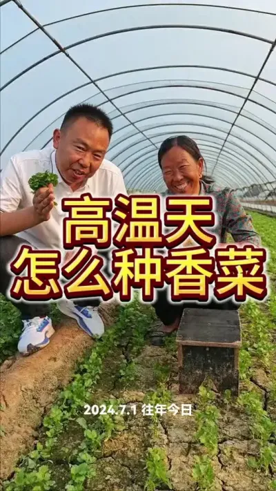 #��ũ �߲�ݪֲ