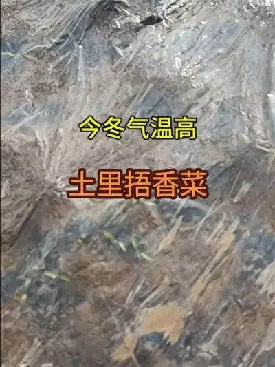 ��������˳����Ĺ���