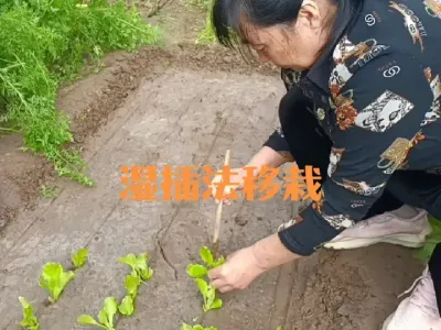 ʪ�Է�����С�Ͳ�����