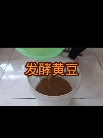 �������ͱ��ʵĻƶ����׵ȣ�2024�꣩