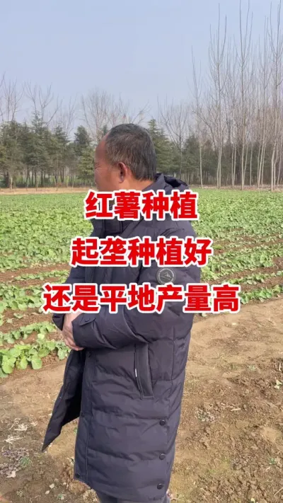 ����ݪֲ��¢ݪֲ���վ�ƽ�ز�����#����ݪֲ #����ݪֲ���� #�����߲� #��������