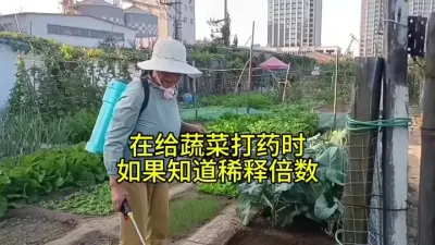 ֪��ϡ�ͱ���������ҩ��#����