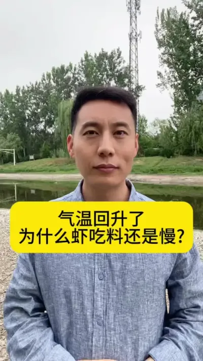 气温回升了，为什么虾吃料还是慢?#对虾养殖 #工厂化养虾 #小棚养虾 #养虾人 #创作灵感