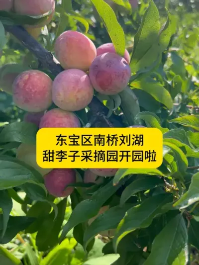 #������ũ�� #������ũ֧����ũ #��������dou�ж� #������ũ��ũ #���ʲ�ժ