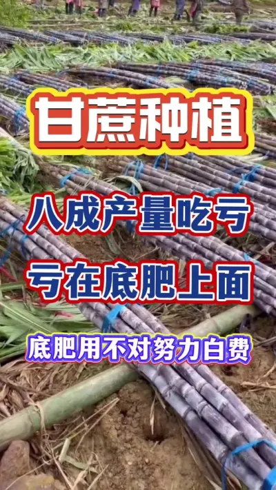 ����Ĳ��������˳ɿ����ڵ׷��������׷��ǽ���#����ݪֲ#����ʩ��#����