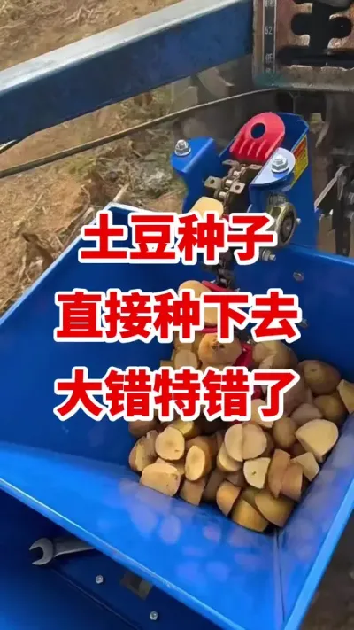 ����ݪֲ#����ݪֲ���� #�����߲� #��������