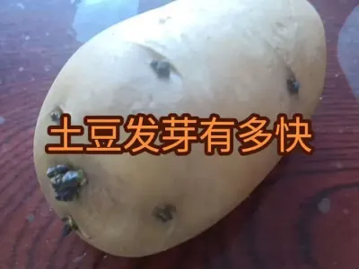 ʲôʱ�乺������������������ѿ�ж����