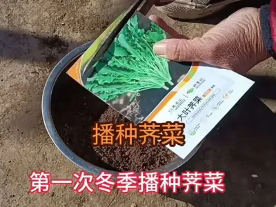 ��������&ldquo;������&rdquo;����#����