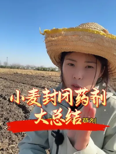 �ر�ҩ�����ܽ���ѡǷ�õļ��ŵ����ղ�#����ũҵ֪ʶ��ũ���������� #�����������Ļ���