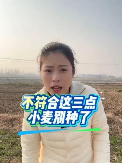 ���к����������ε���С��ͱ����˰������Ϊ���#С��ݪֲ #����ũҵ֪ʶ��ũ���������� #�����������Ļ���