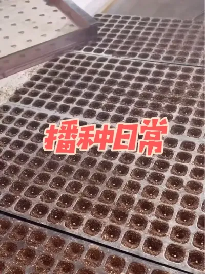 ���ֲ�������٭���＾ֱ�����������