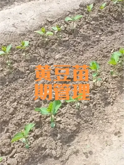 �ƶ��������������#�ƶ��������