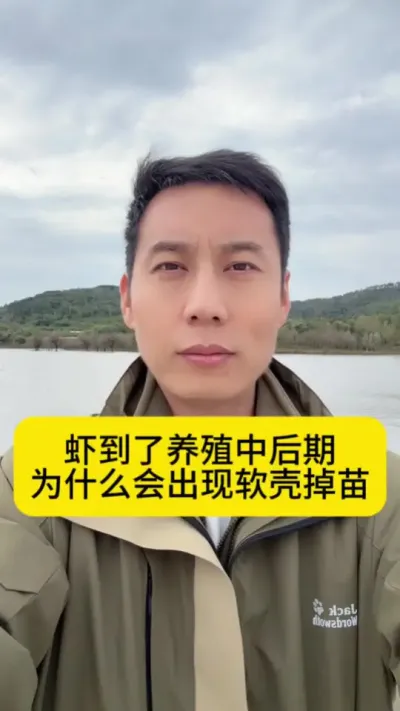 Ϻ������ֳ�к�����Ϊʲô�᷺�����ǵ�����#��Ϻ��ֳ #�����׶�Ϻ #��Ϻ�� #��Ϻ��ֳ���� #�������