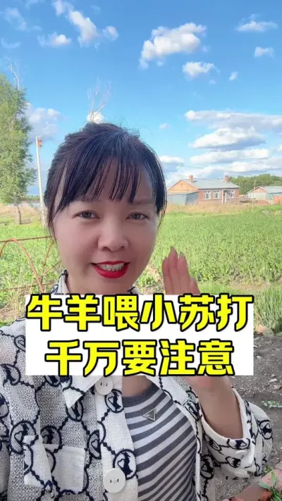 #������ũ�� #��ũ #������ֳ #��ֳ���� #ţ����ֳ @DOU+С����