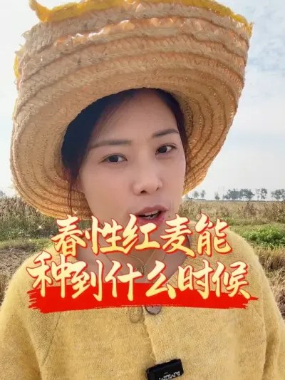 ���Ժ�Ƥ���������ֵ�ʲôʱ��#����ũҵ֪ʶ��ũ���������� #�����������Ļ���