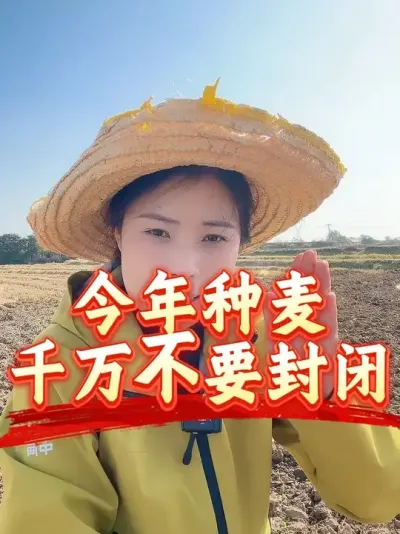 ���������ɱ�Ž����Ҫ#����ũҵ֪ʶ��ũ���������� #�����������Ļ��� #С��ݪֲ