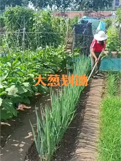 �����º���Ҫʵʱ����#���