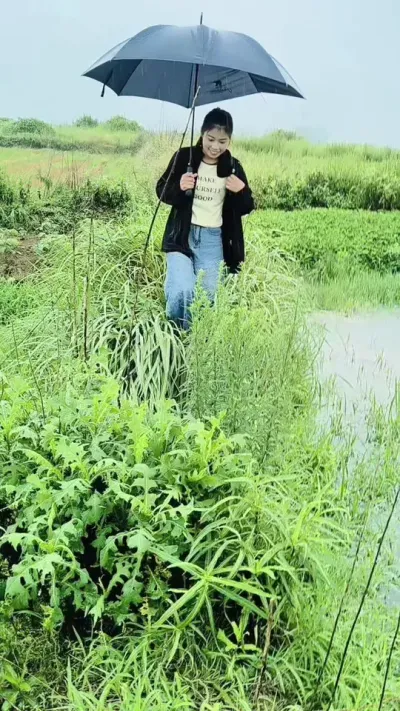 #琼姐聊农业#宠粉送福利@琼姐聊农业（中海精选团队）