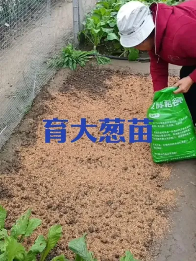 2025���ʪ������Խ�������