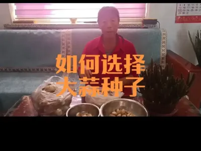 ����ѡ��������ӣ������꣩