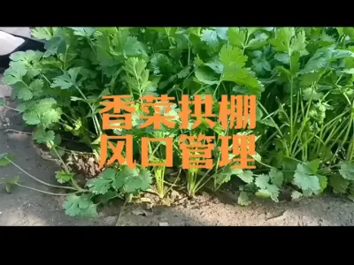 ��˶������Ϲ���������������2024�꣩