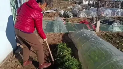 ����������ջ���ܲ�