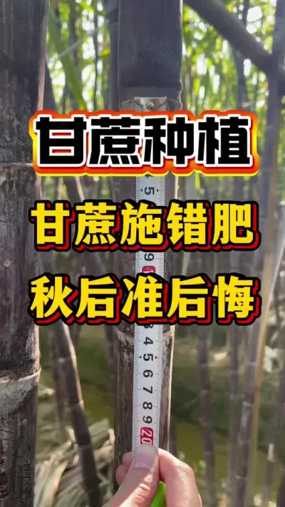 ���¼�ǧ��ũ�ʵ�����߲����ҿ�����Ҫ����ν������һ����Ҫ��ʩ�ʺ���ҩ��#����ݪֲ#����ν�#������������