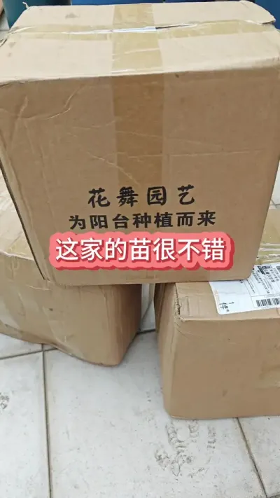 @����԰��ũ�� ���׵Ĳ�ݮ������ݮ��������ݮ��ݪֲ��������ݮ��ݪֲҪ��#�ֲ�ݮ #��ݮ�� #���Բ�ݮ #��ݮݪֲ #��ݮݪֲ����