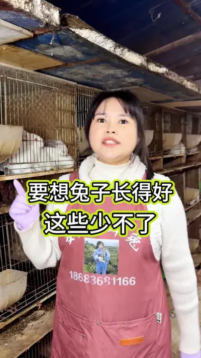 #������ #����רҵ�� #��ũ