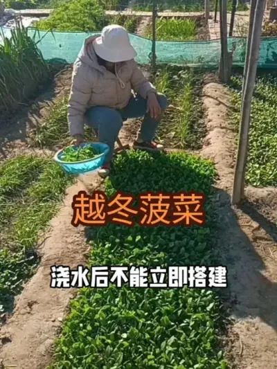 Խ�����˴���Ϲ���ע������