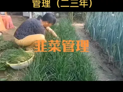 �²˺�¶�󼰶����������������������꣩