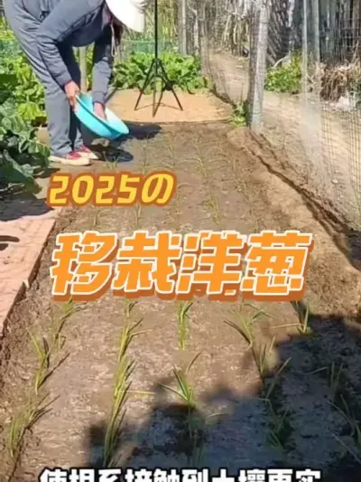 ����������������