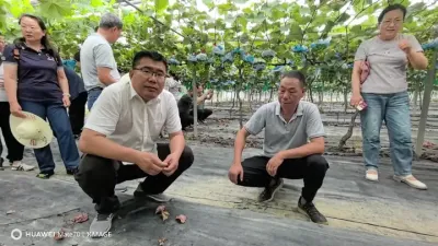 �������ѹ�ҵ����ϵͳ��ϯ��ѧ���������о�Ա������ˮ��״����õ��򽫳�Ϊ�г��³裡