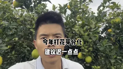 ���ٴ�ѿ�ֽⲻ����Ҫ��ʱ�������ÿ����� #��ѿ�ֽ� #���� #��ũ #ũҵ #�������� 